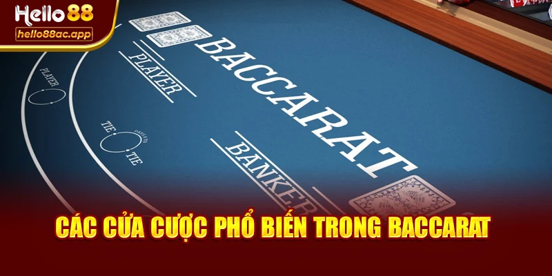 Các cửa cược phổ biến trong Baccarat