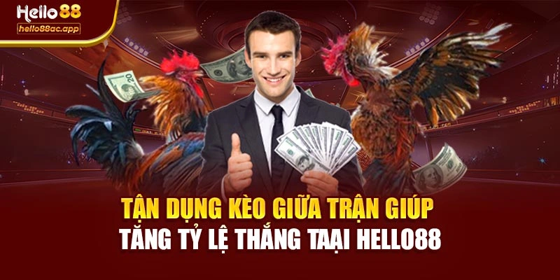 Tận dụng kèo giữa trận giúp tăng tỷ lệ thắng taại Hello88