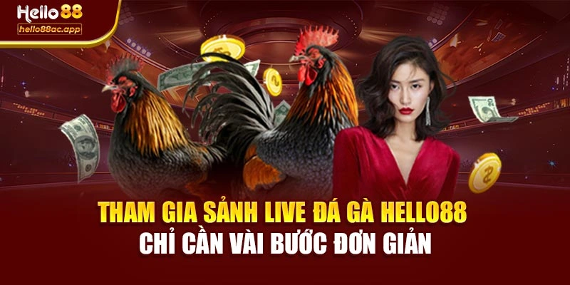 Tham gia sảnh Live đá gà Hello88 chỉ cần vài bước đơn giản