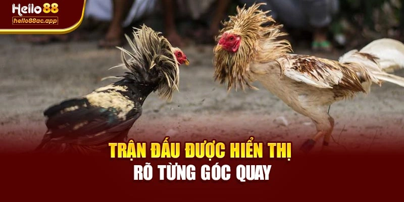 Trận đấu được hiển thị rõ từng góc quay